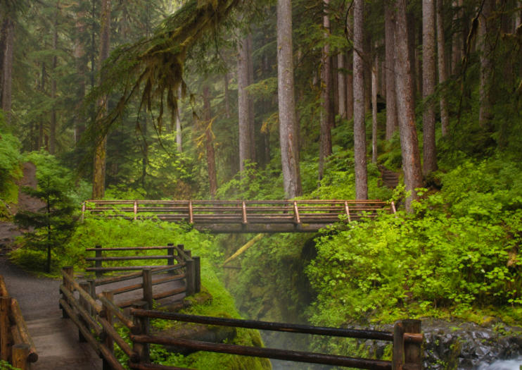 Olympic National Park